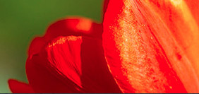 骚扰神器24小时轰炸免费