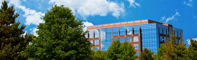 免费网络电话呼叫系统